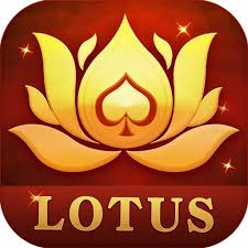 rummy all 100 withdrawal download